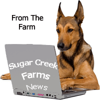featured articles from the farm
